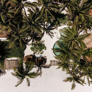 Mahayana Tulum Beach Homes