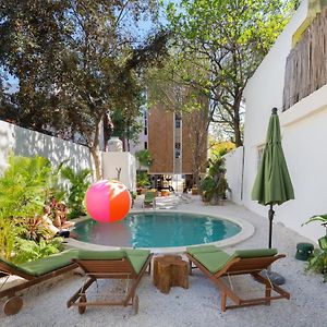 Oostel Smart Hostel - Tulum Pueblo (Adults Only)